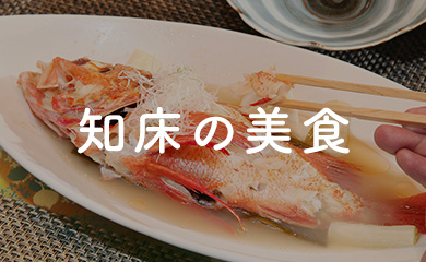 知床の美食