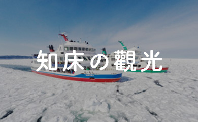 知床観光