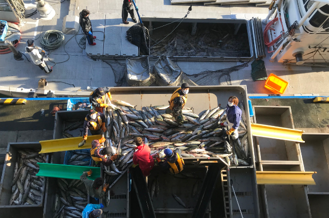 宇登呂鮭魚露台俯瞰圖