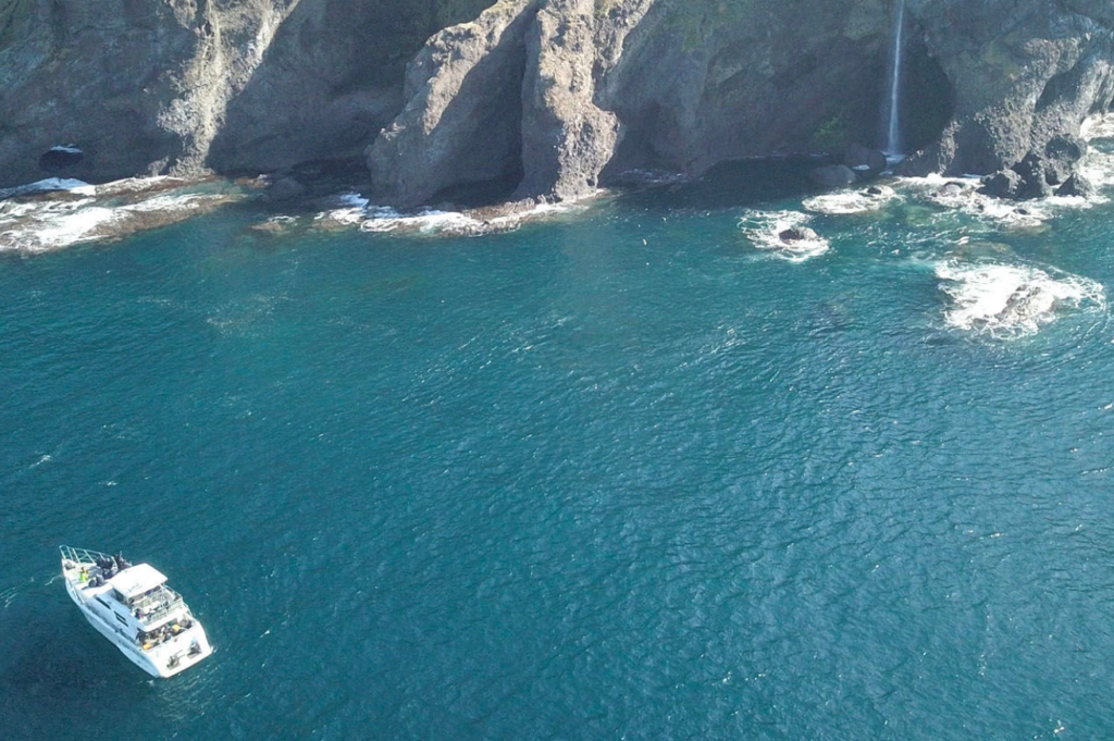 知床世界遺產 觀光船FOX