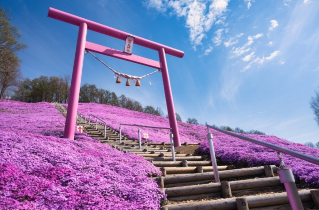東藻琴芝櫻公園